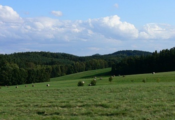 Janovice v Podještědí