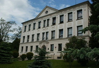 Křižany