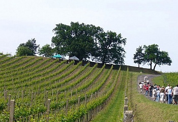 Stošíkovice na Louce