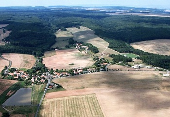 Zichovec