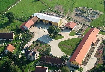 Kosořín
