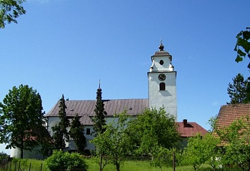 Netín