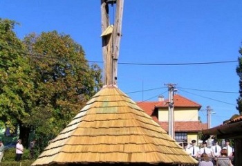 Haluzice