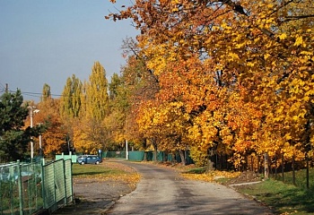 Vratimov