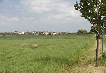 Šatov