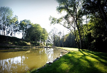 Skořenice