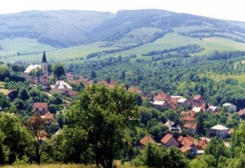 Nedašov