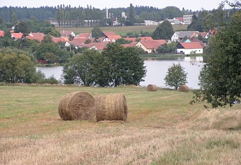 Pikárec