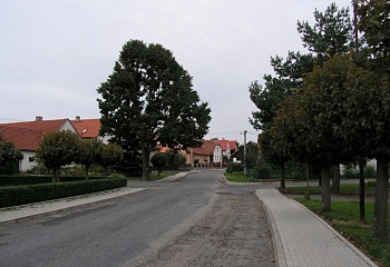 Pikárec