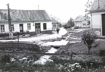 Vrbice