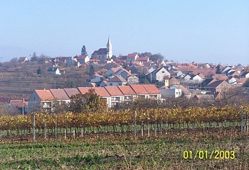 Vrbice