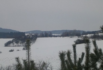 Únice