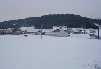 Únice