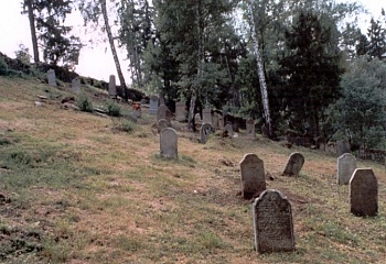 Svojšín