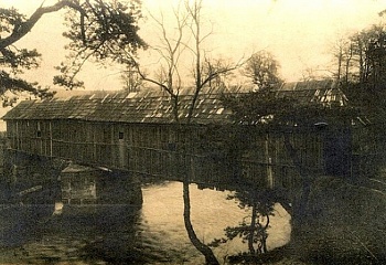 Svojšín