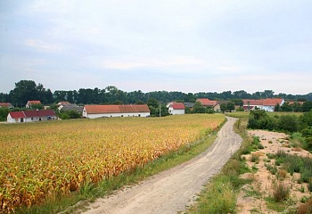 Neratov