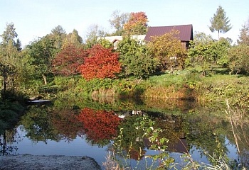 Roprachtice