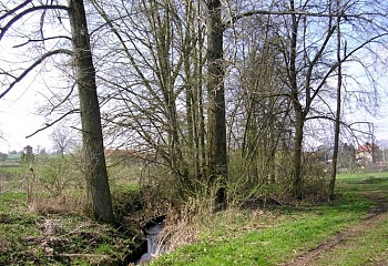Běchary