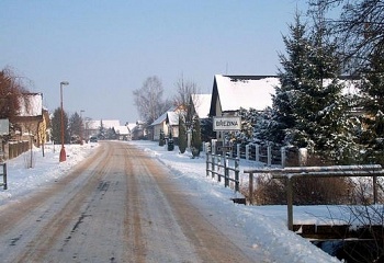 Březina