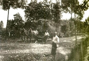 Březina