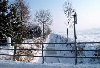 Březina