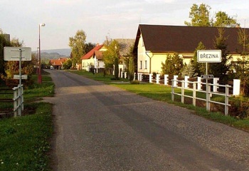 Březina