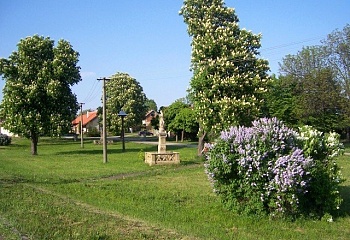 Budčeves