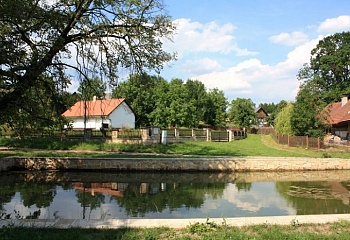 Bukvice