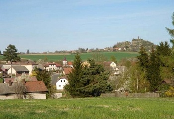 Bukvice