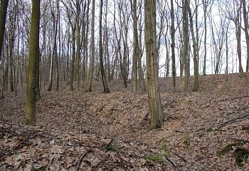 Češov