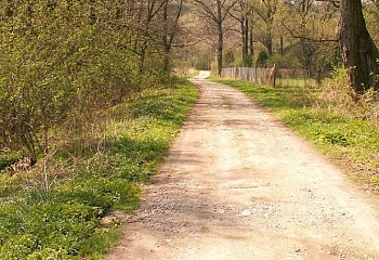 Vevčice
