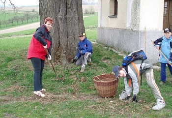 Bystřec