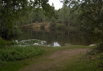 Bystřec