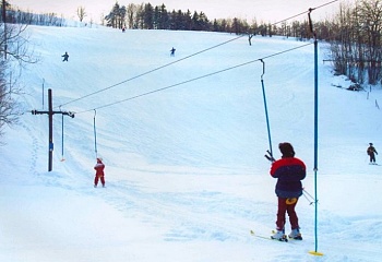 Bystřec