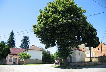 Zahorčice