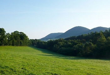 Bernartice