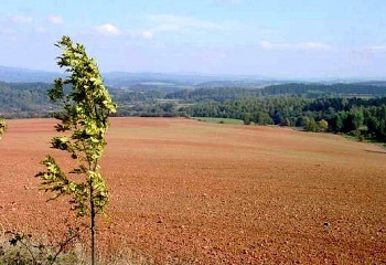 Chotěvice