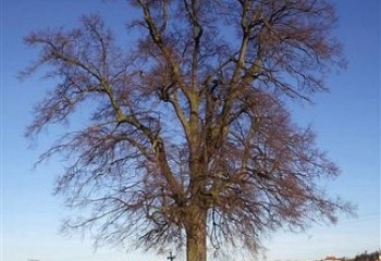 Vranovská Ves
