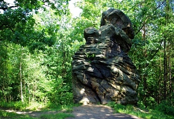 Jarcová