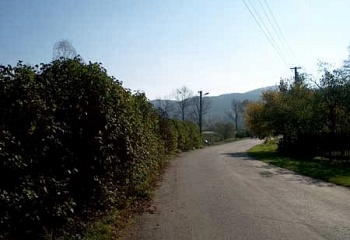 Jarcová