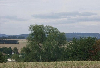 Hajnice