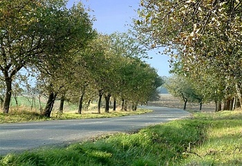 Bartošovice