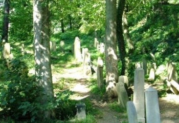 Chodová Planá