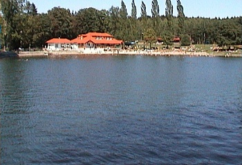 Planá