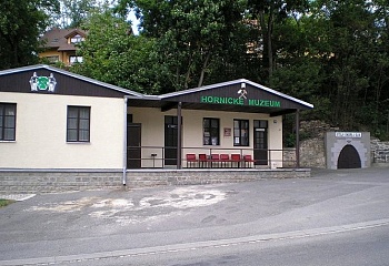 Planá