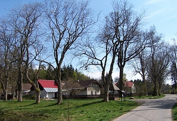 Račín