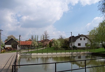 Sirákov