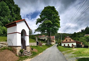 Brněnec
