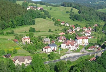 Plavy