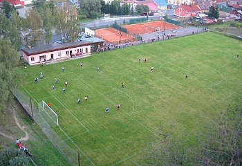 Plavy
